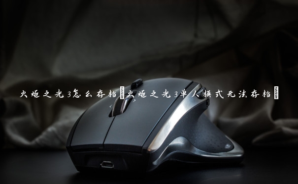 火炬之光3怎么存档(火炬之光3单人模式无法存档)