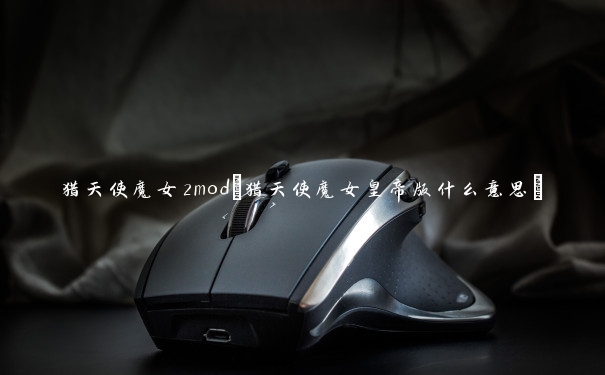 猎天使魔女2mod(猎天使魔女皇帝版什么意思)