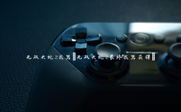 无双大蛇z武器(无双大蛇z最终武器获得)