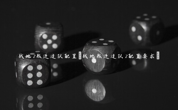 战地2叛逆连队配置(战地叛逆连队2配置要求)