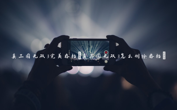 真三国无双3完美存档(真三国无双3怎么删除存档)