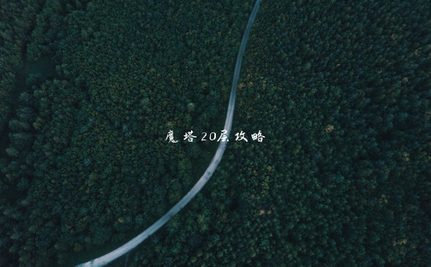 魔塔20层攻略