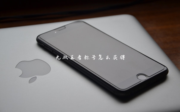 无双王者称号怎么获得