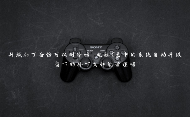 升级补丁备份可以删除吗 电脑C盘中的系统自动升级留下的补丁文件能清理吗