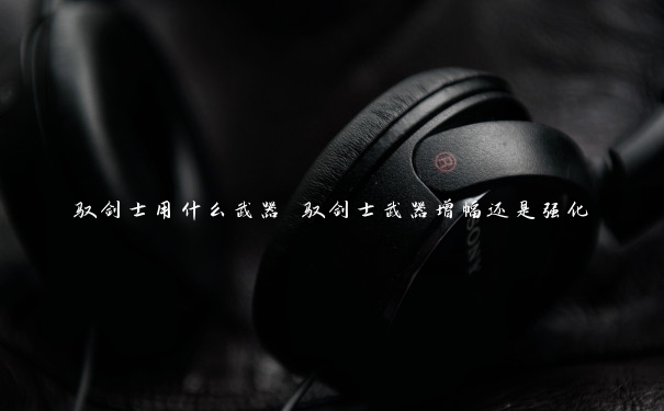 驭剑士用什么武器 驭剑士武器增幅还是强化
