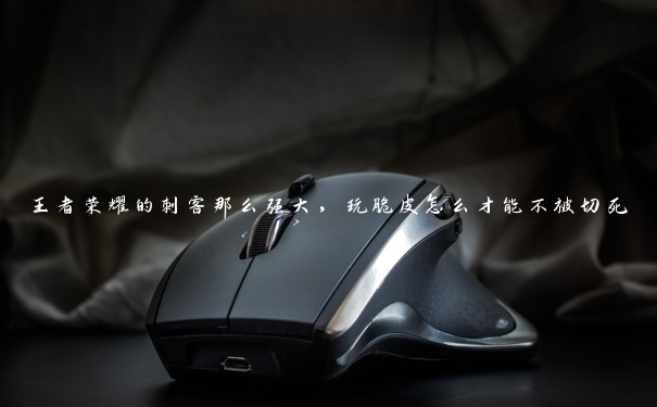 王者荣耀的刺客那么强大，玩脆皮怎么才能不被切死