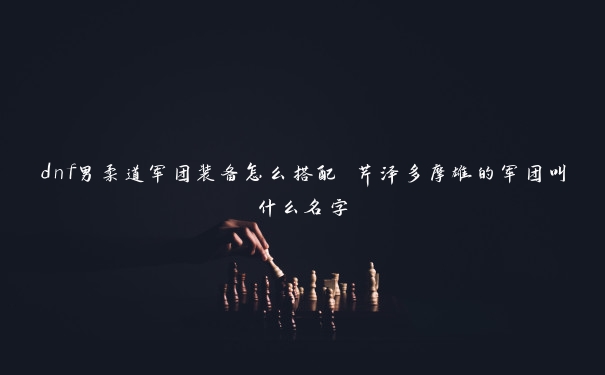 dnf男柔道军团装备怎么搭配 芹泽多摩雄的军团叫什么名字