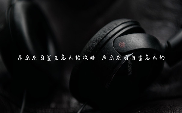 摩尔庄园鲨鱼怎么钓攻略 摩尔庄园白鲨怎么钓