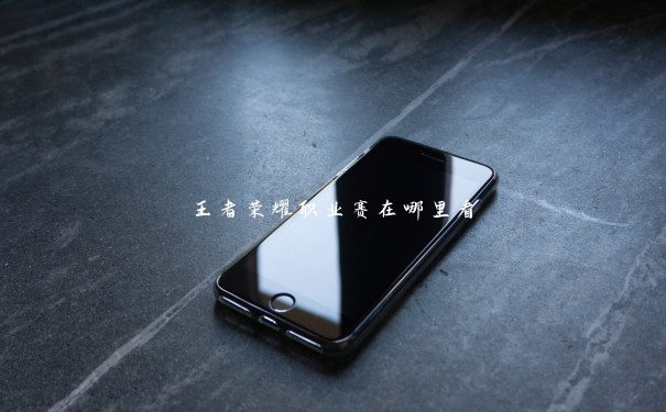 王者荣耀职业赛在哪里看