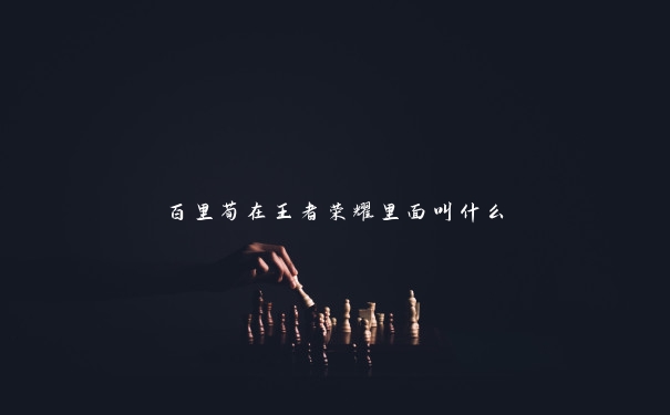 百里荀在王者荣耀里面叫什么