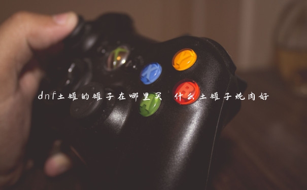 dnf土罐的罐子在哪里买 什么土罐子炖肉好