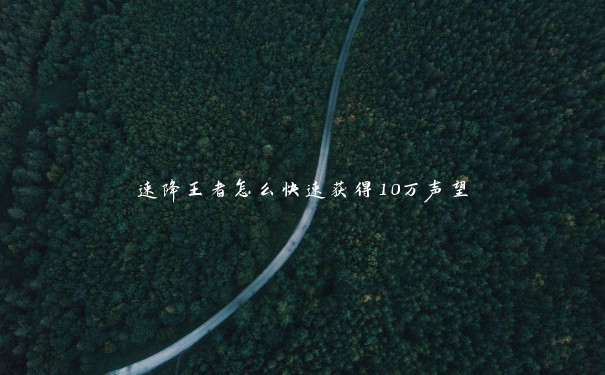 速降王者怎么快速获得10万声望