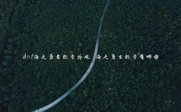 dnf海之勇者称号外观 海之勇士称号有哪些