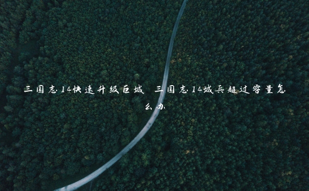 三国志14快速升级巨城 三国志14城兵超过容量怎么办