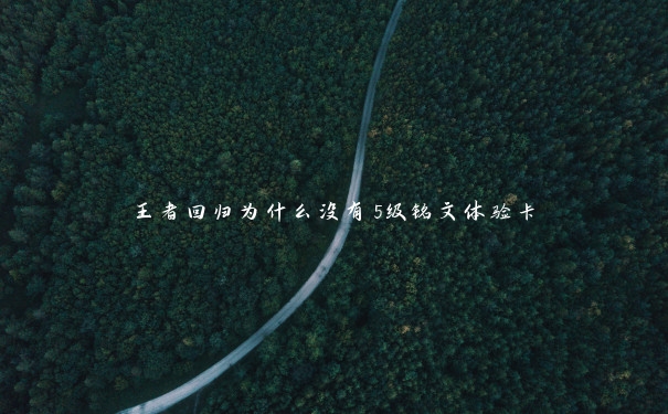 王者回归为什么没有5级铭文体验卡