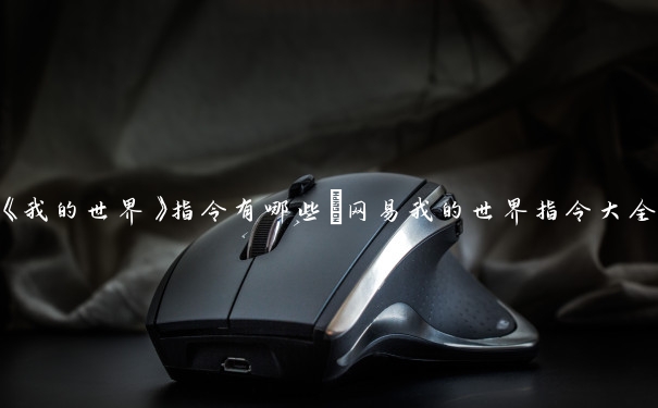 《我的世界》指令有哪些_网易我的世界指令大全