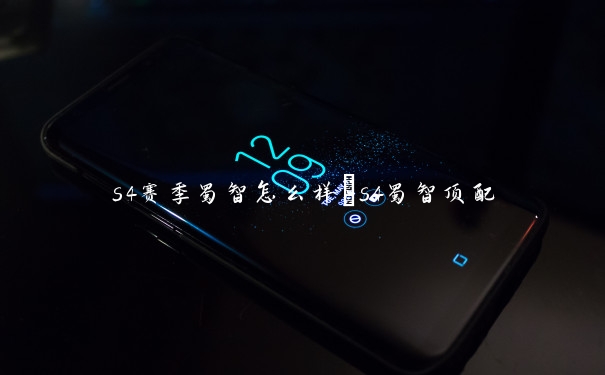 s4赛季蜀智怎么样　s4蜀智顶配