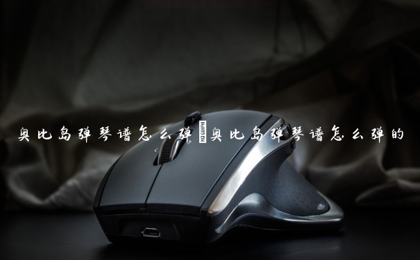 奥比岛弹琴谱怎么弹　奥比岛弹琴谱怎么弹的
