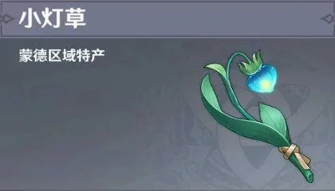 原神小灯草获取攻略：购买途径与采集地点