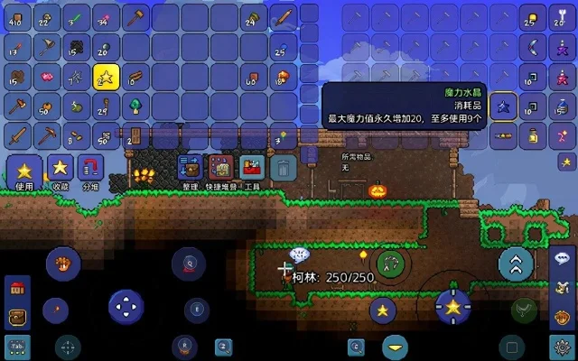 泰拉瑞亚草地种植全攻略：选址、种子获取、养护与优化技巧