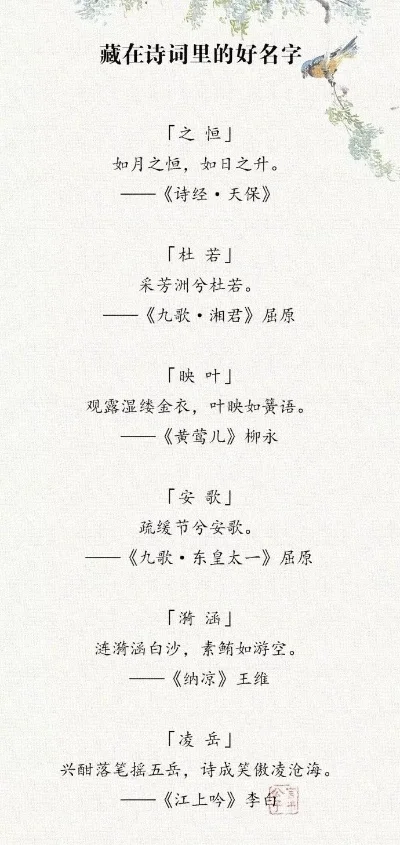 诗意名字集合：精选独特昵称赏析