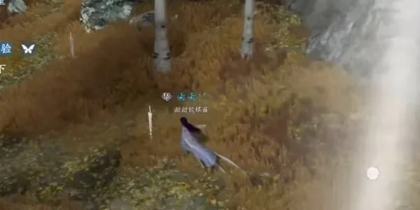 逆水寒手游智者无情任务全攻略详解