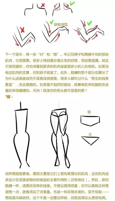 魔法风元素绘制教程：头部身体四肢绘制步骤详解